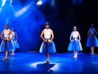 DSC 82563  05 Les 4 saisons (hiver) : Arts & Spectacles