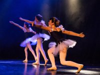 13 : Arts & Spectacles, Danse