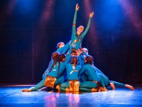 29 : Arts & Spectacles, Danse